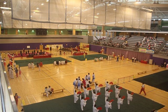 我校武术队在香港国际武术大赛中斩获13金